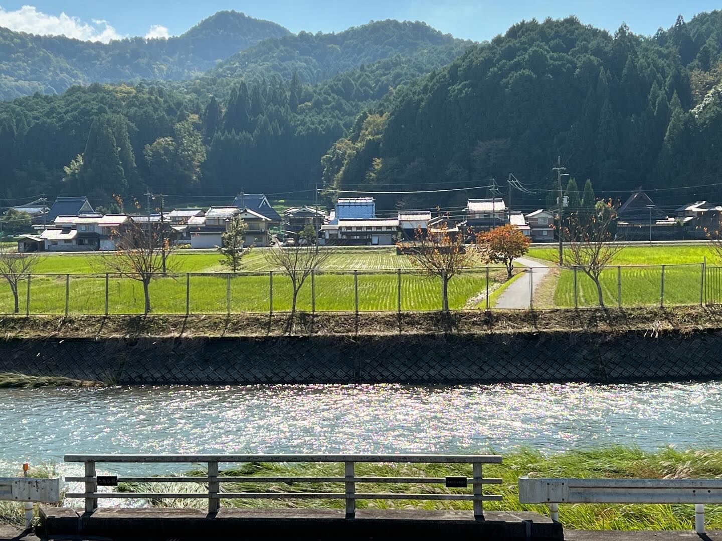 里山の風景